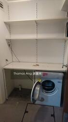 Hoover Park (D21), Terrace #313876701